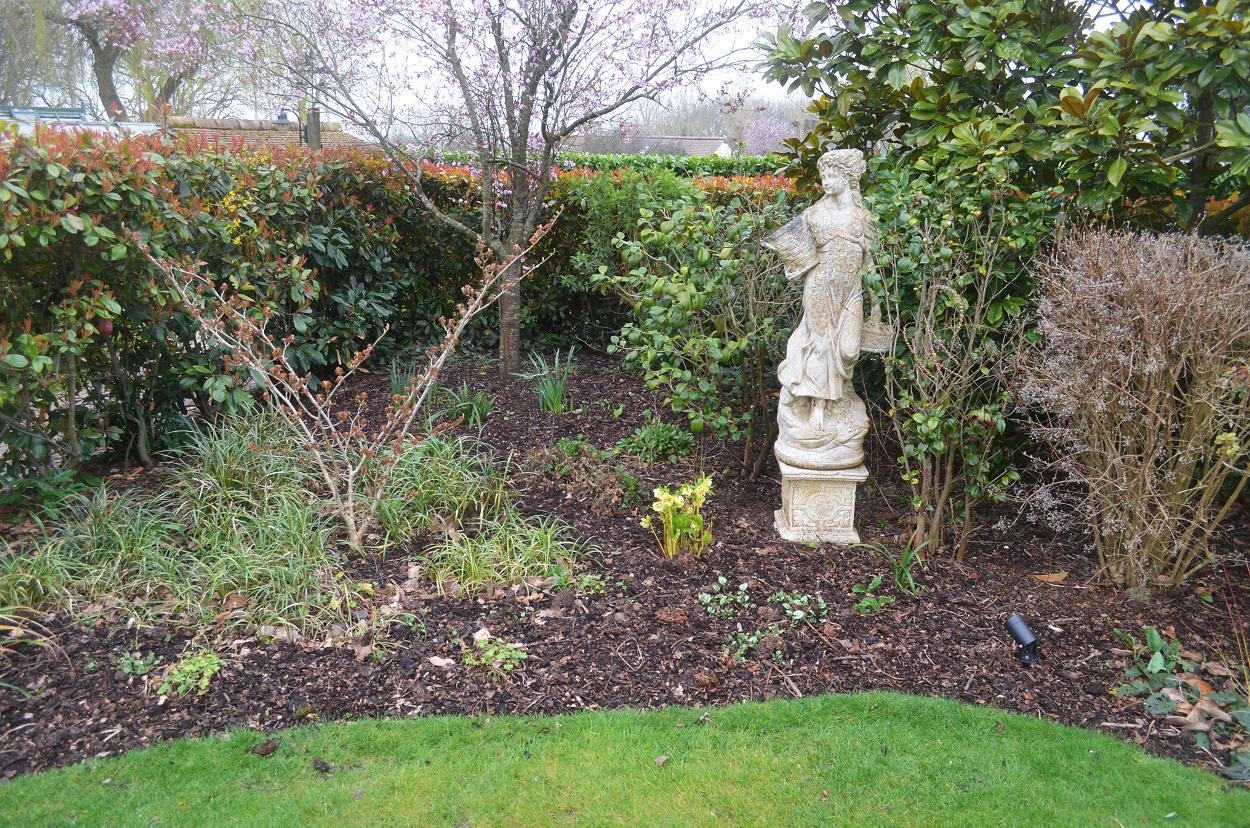 Garden Design and planting plans in Essex and Suffolk and landscaping