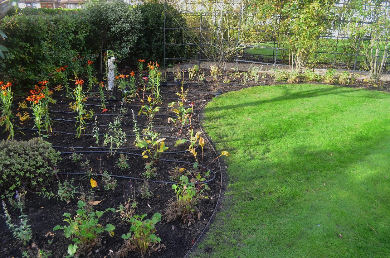 garden design and planting plans in Essex