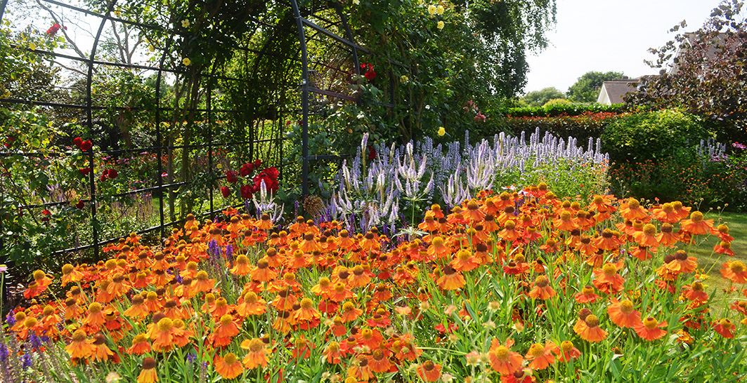 Garden Designer in Suffolk and Essex