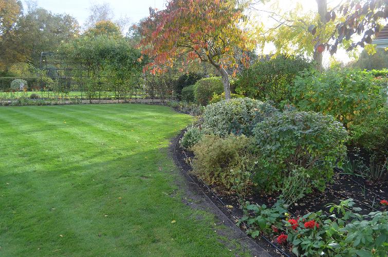 Garden border design renovation in Ramsden Bellhouse Essex Garden renovation and redesign of the borders of a large, well maintained, residential garden. 