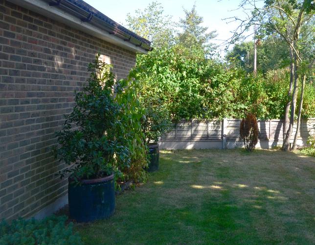 North Essex Garden Border Renovation With this particular garden design border renovation the client was faced with a difficult situation of dry, prolonged shade in summer and wet conditions in winter