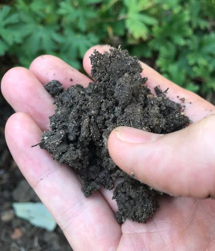 Great soil is everything where planting is concerned As a Garden Designer based in Essex, I often come up against gardens with inherently poor soil which must be addressed to ensure the new planting provides a great show for years to come.