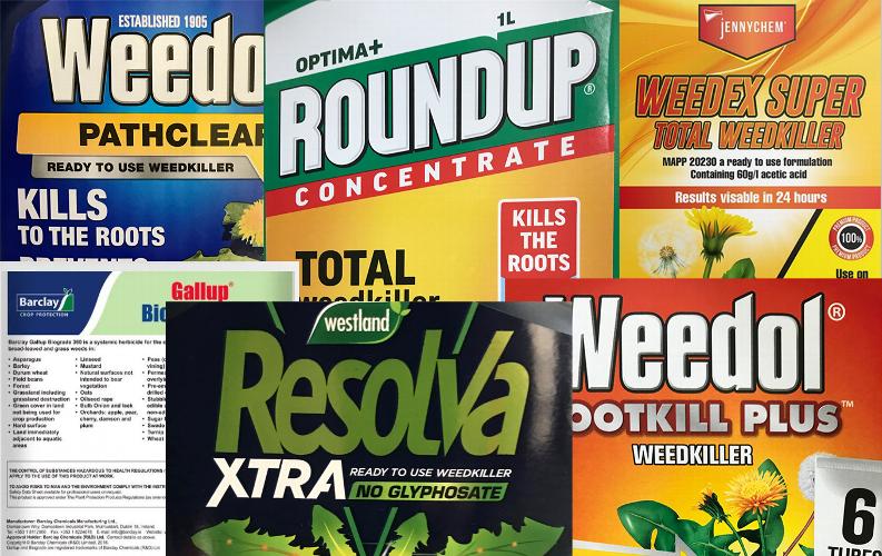 Glyphosate weedkillers and the drugwatch article In this world of ever increasing brand targeting are we really sure what weedkillers are safe to use? I was recently pointed in the direction of a drugwatch article which highlights a different view and one gardeners should consider