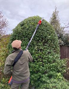 Garden Designer in Essex and Suffolk